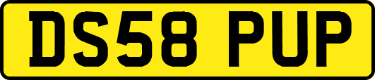 DS58PUP
