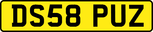 DS58PUZ
