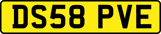 DS58PVE