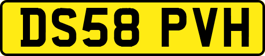 DS58PVH