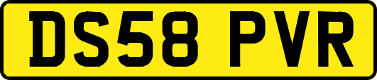 DS58PVR