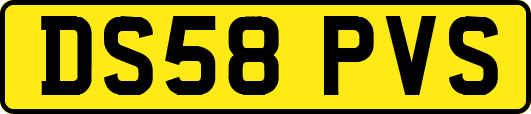 DS58PVS