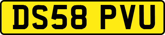 DS58PVU