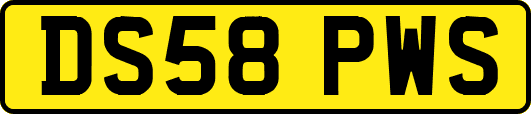 DS58PWS