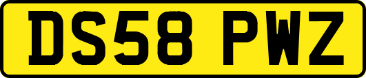 DS58PWZ