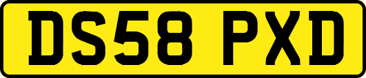 DS58PXD