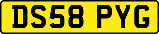 DS58PYG