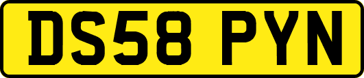 DS58PYN
