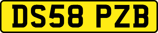 DS58PZB