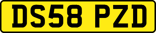 DS58PZD