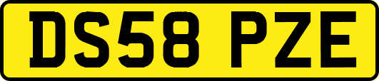 DS58PZE