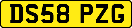 DS58PZG