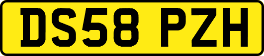 DS58PZH