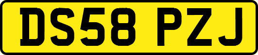 DS58PZJ