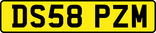 DS58PZM