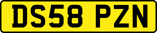 DS58PZN