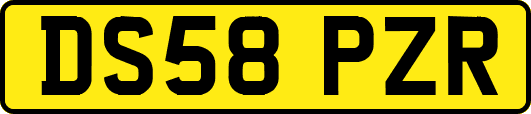 DS58PZR