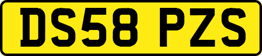 DS58PZS