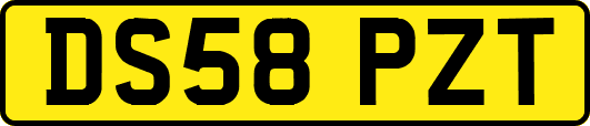 DS58PZT