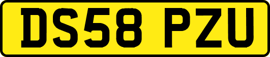 DS58PZU