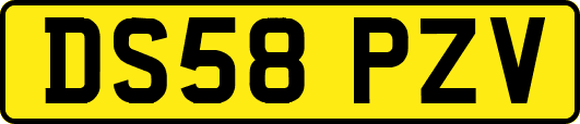 DS58PZV