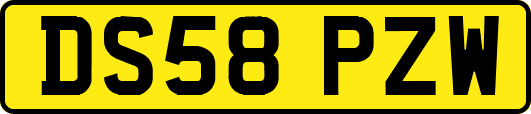 DS58PZW