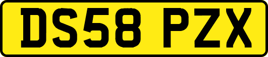 DS58PZX