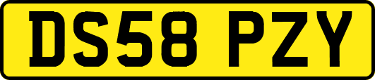 DS58PZY