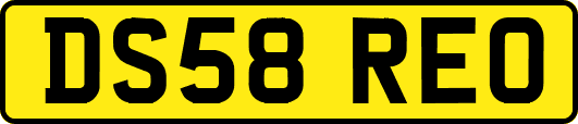 DS58REO