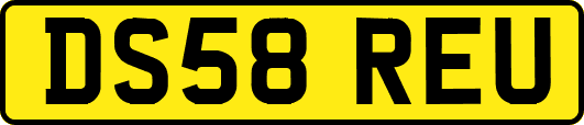 DS58REU