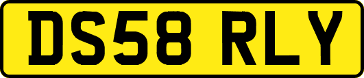 DS58RLY