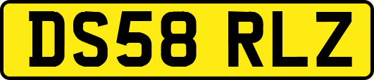 DS58RLZ