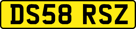 DS58RSZ
