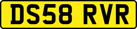 DS58RVR