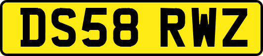 DS58RWZ