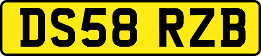 DS58RZB