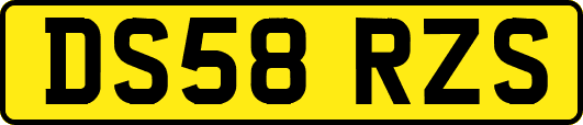 DS58RZS