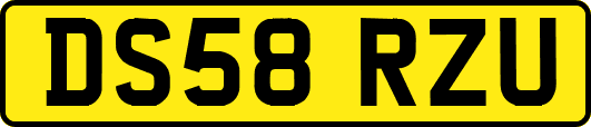 DS58RZU