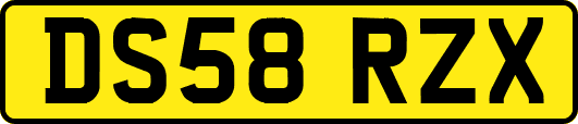 DS58RZX