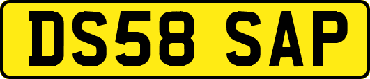 DS58SAP