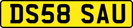 DS58SAU