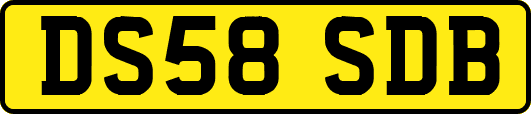 DS58SDB