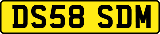 DS58SDM