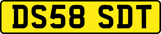 DS58SDT