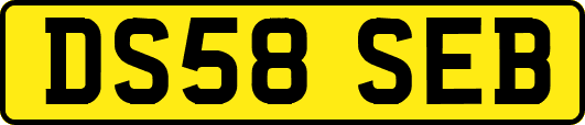 DS58SEB