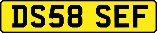 DS58SEF
