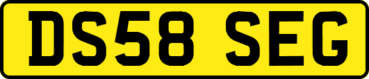 DS58SEG