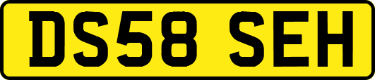 DS58SEH