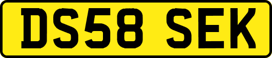 DS58SEK