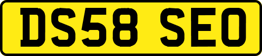 DS58SEO